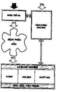 Tiêu chuẩn ngành 52TCN-CTYT 37:2005 Tiêu chuẩn thiết kế - Các khoa xét nghiệm - Bệnh viện đa khoa - Khoa vi sinh, Khoa sinh hóa, Khoa huyết học truyền máu và Khoa giải phẫu bệnh