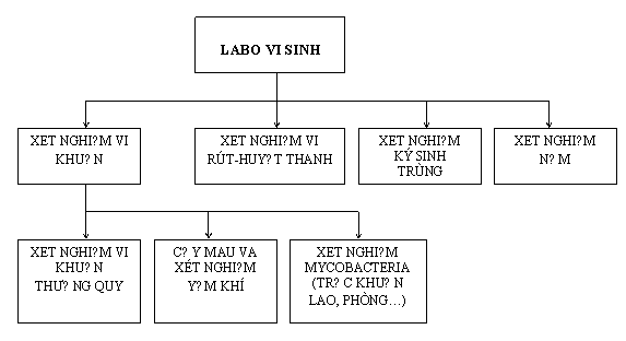 Tiêu chuẩn ngành 52TCN-CTYT 37:2005 Tiêu chuẩn thiết kế - Các khoa xét nghiệm - Bệnh viện đa khoa - Khoa vi sinh, Khoa sinh hóa, Khoa huyết học truyền máu và Khoa giải phẫu bệnh