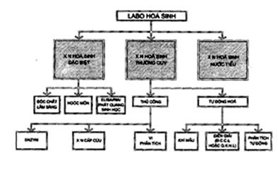Tiêu chuẩn ngành 52TCN-CTYT 37:2005 Tiêu chuẩn thiết kế - Các khoa xét nghiệm - Bệnh viện đa khoa - Khoa vi sinh, Khoa sinh hóa, Khoa huyết học truyền máu và Khoa giải phẫu bệnh