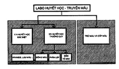 Tiêu chuẩn ngành 52TCN-CTYT 37:2005 Tiêu chuẩn thiết kế - Các khoa xét nghiệm - Bệnh viện đa khoa - Khoa vi sinh, Khoa sinh hóa, Khoa huyết học truyền máu và Khoa giải phẫu bệnh