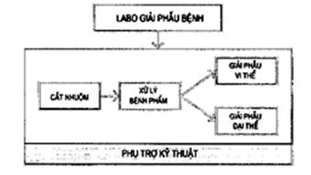 Tiêu chuẩn ngành 52TCN-CTYT 37:2005 Tiêu chuẩn thiết kế - Các khoa xét nghiệm - Bệnh viện đa khoa - Khoa vi sinh, Khoa sinh hóa, Khoa huyết học truyền máu và Khoa giải phẫu bệnh