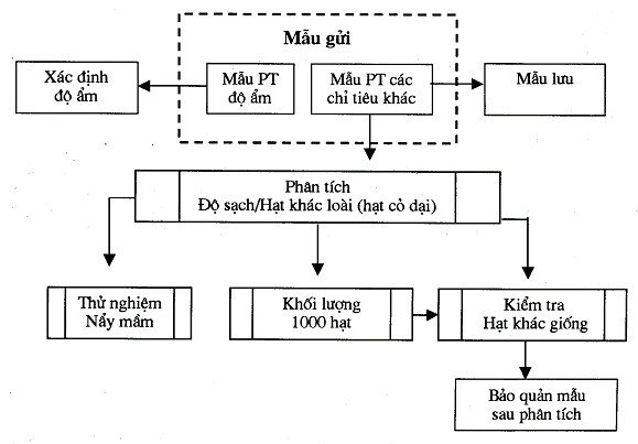 Tiêu chuẩn ngành 10 TCN 322:2003 Phương pháp kiểm nghiệm hạt giống cây trồng - Yêu cầu kỹ thuật