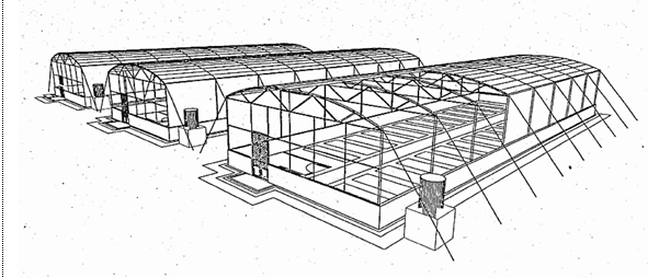 Tiêu chuẩn ngành 10TCN 600:2004 Vườn ươm cây có múi