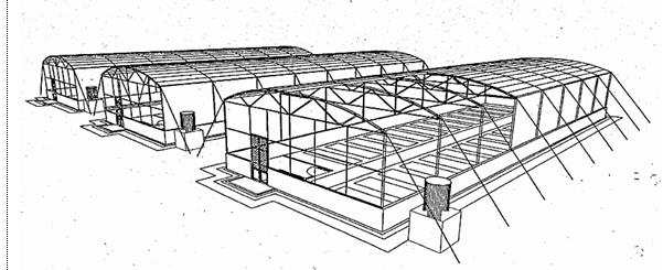 Tiêu chuẩn ngành 10TCN 600:2004 Vườn ươm cây có múi