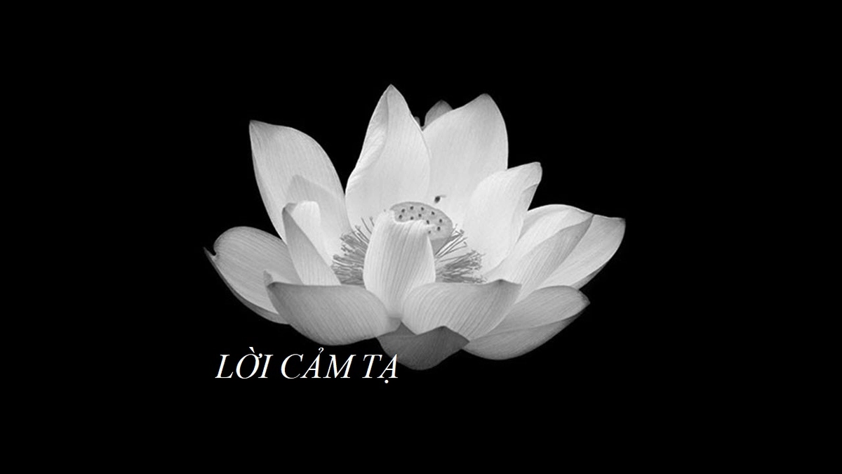 Lời Chia Buồn Ngắn Gọn