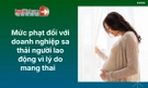 Doanh nghiệp sa thải người lao động vì lý do mang thai bị phạt bao nhiêu?