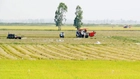 Có quyết định thu hồi đất trước 01/8/2024 được bồi thường theo Luật cũ hay mới?