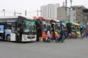 Mẫu lý lịch lái xe kinh doanh vận tải áp dụng từ 01/01/2025