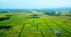 Hướng dẫn sử dụng đất, xử lý trụ sở sau sắp xếp đơn vị hành chính