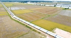 Hướng dẫn xử lý trường hợp sử dụng đất có sự mâu thuẫn giữa các quy hoạch