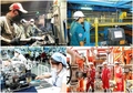 Nội dung sắp xếp doanh nghiệp Nhà nước theo Kế hoạch 130