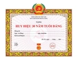 Mẫu Giấy chứng nhận tặng Huy hiệu Đảng mới nhất 2026