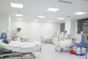 Đã có toàn văn Luật Phòng bệnh 2025, số 114/2025/QH15
