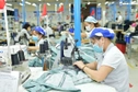 Khẩn trương rà soát, đề xuất sửa đổi quy định về lao động, việc làm