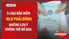 Video: 3 loại bảo hiểm NLĐ phải đóng và những lưu ý quan trọng