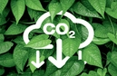 Vietnam’s domestic carbon exchange launched