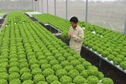 Incentive policies for high-tech agricultural zones