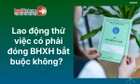 Doanh nghiệp có phải đóng BHXH bắt buộc cho lao động thử việc?