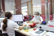 Soạn thảo 8 văn bản hướng dẫn Luật  Các tổ chức tín dụng và Luật Đất đai 