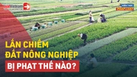 Video: Mức phạt đối với hành vi lấn chiếm đất nông nghiệp?