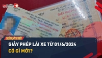 Video: Từ 01/6/2024, Giấy phép lái xe sẽ có gì mới?