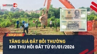 Video: Sẽ tăng giá đất bồi thường khi thực hiện thu hồi đất từ 01/01/2026