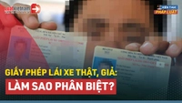 Video: Làm sao để phân biệt được bằng lái xe là thật hay giả?