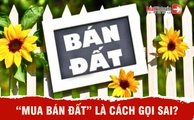 Vì sao không gọi là "mua bán đất"?