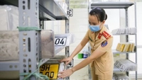 Hướng dẫn đấu giá biển số xe ô tô online