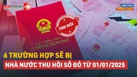 Video: Người dân cần chú ý 6 trường hợp sau sẽ bị thu hồi Sổ đỏ từ 2025