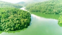 Exemption on corporate taxes on income from green bond interest and carbon credits proposed