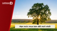 Người dân được mua đất với diện tích tối đa là bao nhiêu?