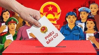 6 trường hợp được ứng cử trong Đảng từ ngày 10/10/2024