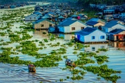 Steering committee established to eradicate temporary, dilapidated houses