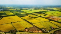 A fine of up to VND 400 million for repurposing non-agricultural land other than residential land to residential land
