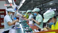 Cách tính lương hưu đối với người đi xuất khẩu lao động