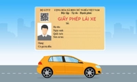 Từ 01/01/2025, để GPLX ôtô quá hạn 1 ngày, tài xế phải thi lại lý thuyết