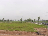 Cố ý bỏ cọc khi đấu giá quyền sử dụng đất sẽ bị hạn chế tham gia ở lần sau