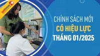 Chính sách mới có hiệu lực tháng 01/2025: Hàng loạt Luật có hiệu lực đầu năm mới