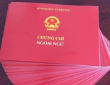 Các chứng chỉ được miễn thi môn Ngoại ngữ trong thi tốt nghiệp THPT từ 2025