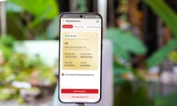 Sử dụng GPLX ô tô đã bị trừ hết điểm phạt cao nhất 20 triệu đồng