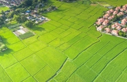  5 nội dung thanh tra về việc chấp hành pháp luật đất đai ở các tỉnh năm 2025