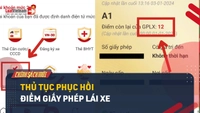 Video: Làm thế nào để phục hồi điểm giấy phép lái xe 2025?