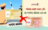 Tổng hợp các lỗi bị tước giấy phép lái xe mới nhất năm 2026