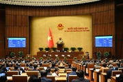 Đã có Luật Tổ chức Chính phủ 2025, số 63/2025/QH15