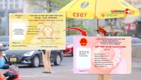 Mẫu Đơn xin cấp đổi giấy phép lái xe 2026 và hướng dẫn viết chuẩn nhất