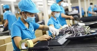 Hướng dẫn sử dụng kinh phí hỗ trợ doanh nghiệp tư nhân kinh doanh bền vững