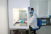 Tăng mức bồi dưỡng giám định tư pháp theo ngày công từ 20/5/2025