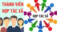 Mẫu danh sách thành viên hợp tác xã 2026