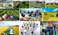 Mẫu Thông báo địa điểm kinh doanh của hợp tác xã 2026